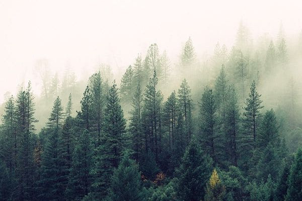 A Skin Cream That’s Proven To Work